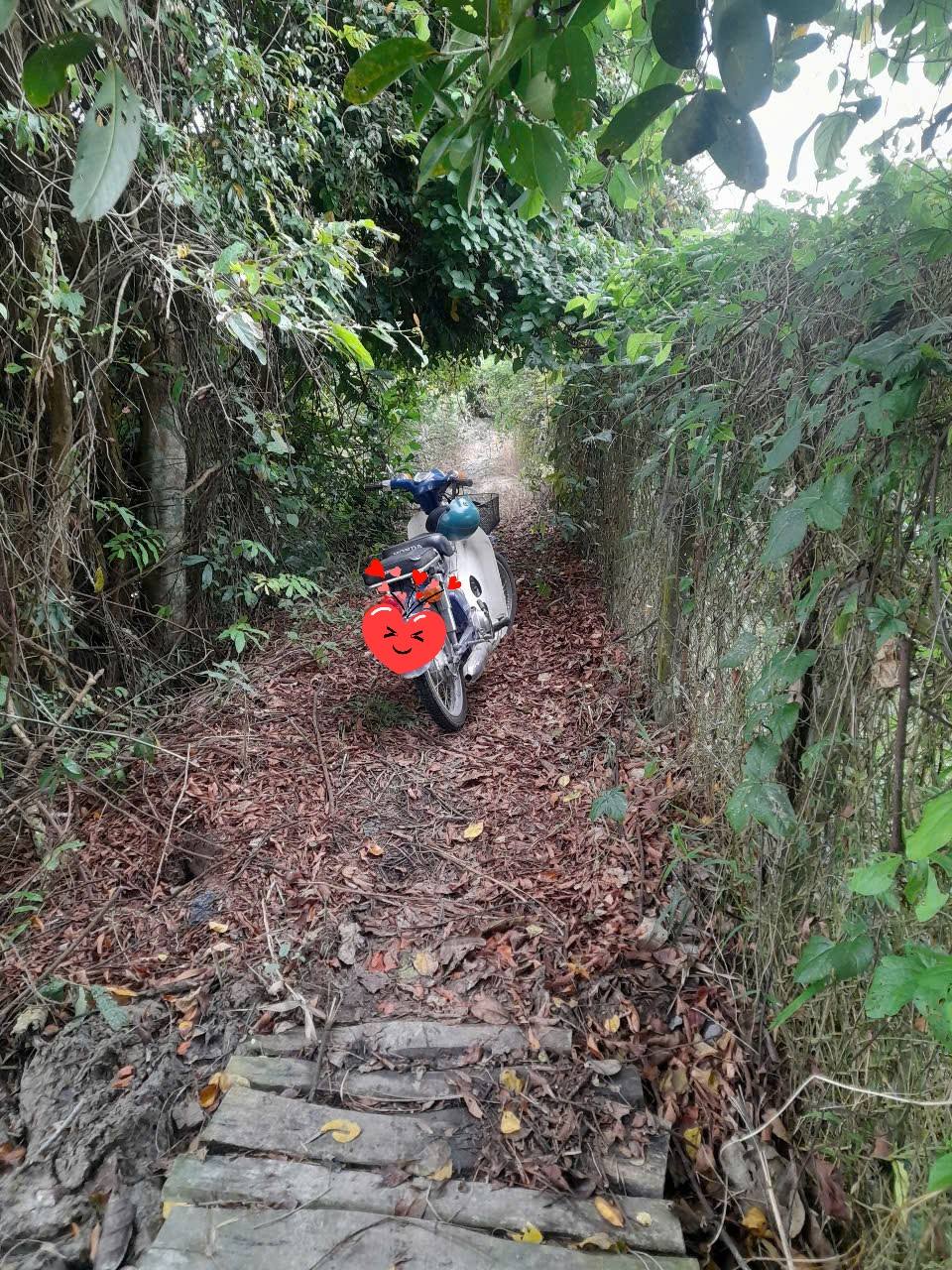 Khám phá mảnh đất vườn tuyệt đẹp tại xã Long Hậu Cũ, huyện Lấp Vò