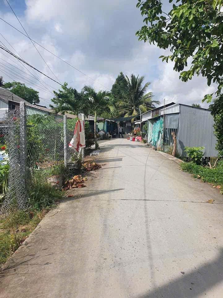 Chào mừng quý vị đến với cơ hội sở hữu một mảnh đất "vàng" tại Định An, Lai Vung, Đồng Tháp