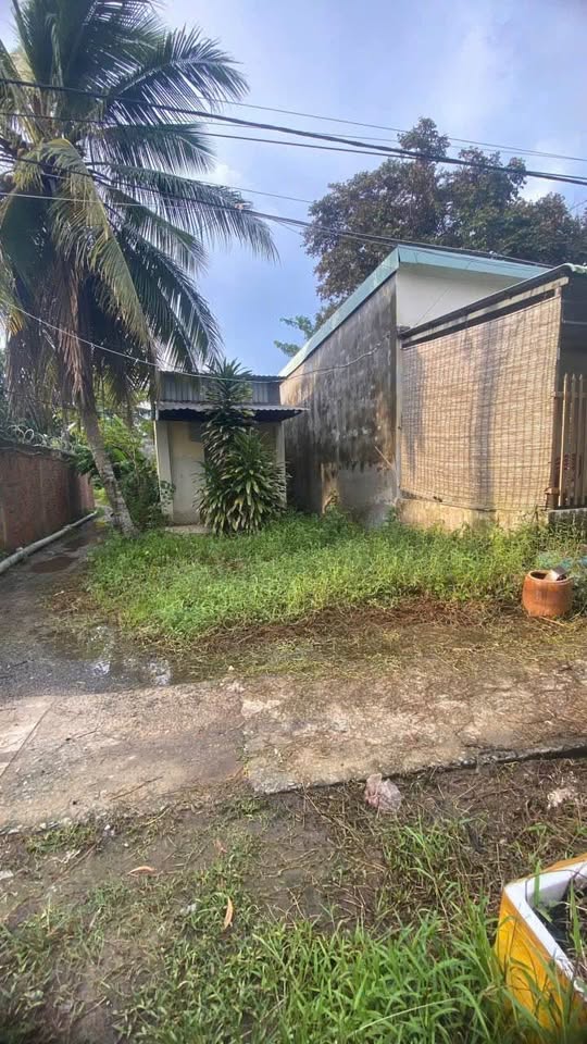 Đất Phường 8 giá bèo, tặng kèm nhà, nhanh tay kẻo lỡ