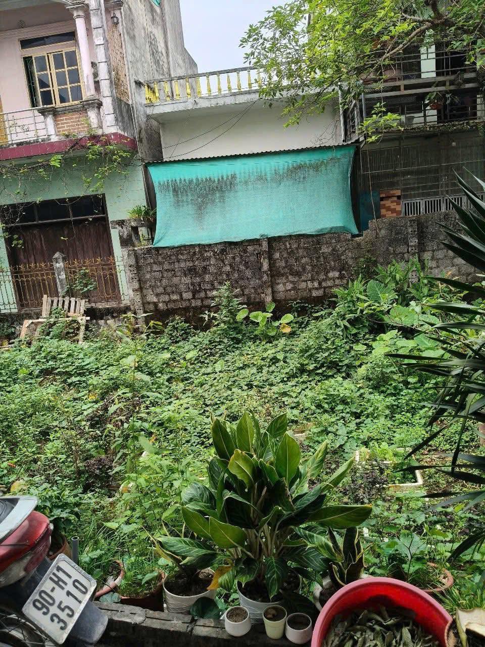 Đất xinh Lý Nhân, gần cầu Hồng Phú, 50m2 sẵn sàng đón chủ mới