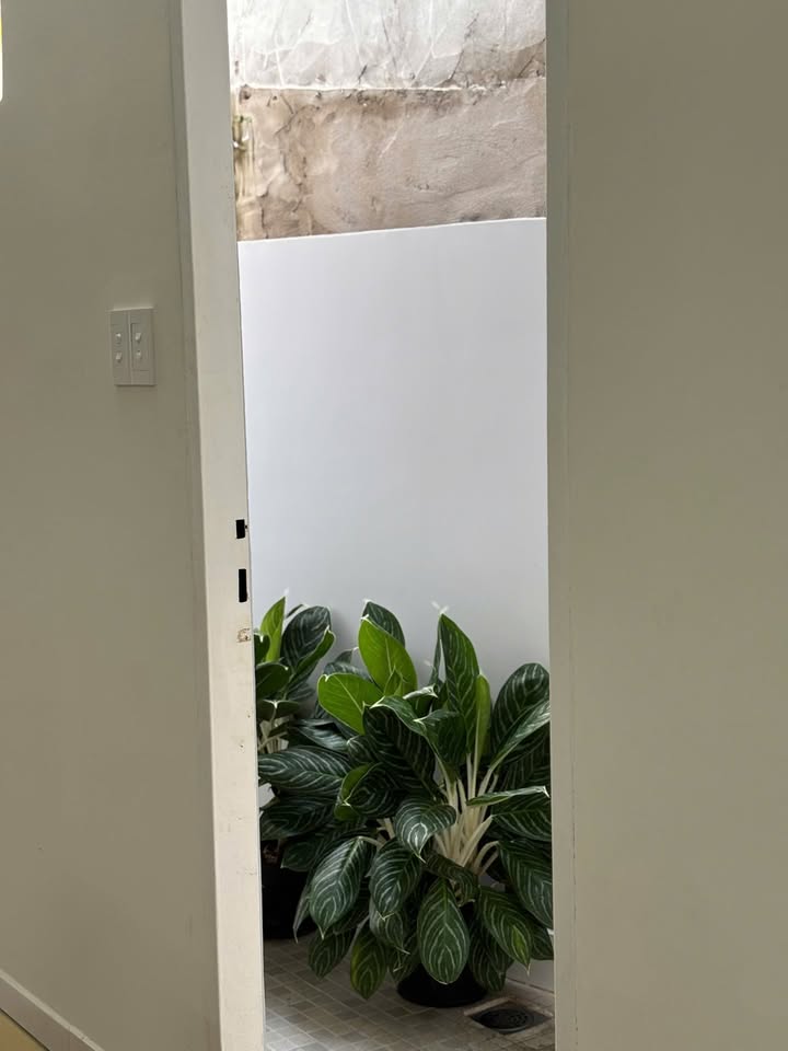 Nhà trung tâm Vũng Tàu 3,9 tỷ, sẵn sàng dọn vào ở ngay