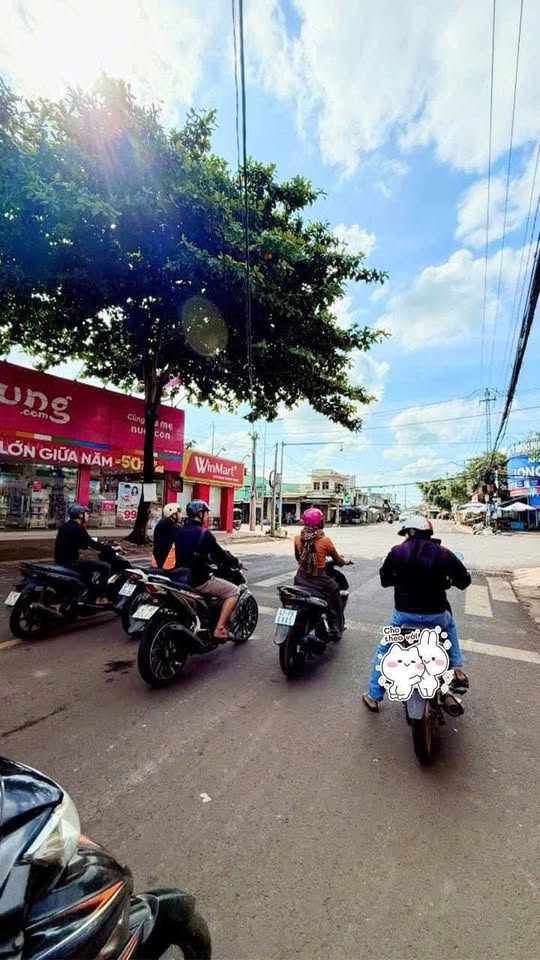 Đất mặt tiền kinh doanh Mai Hắc Đế - Vị trí vàng, giá hời