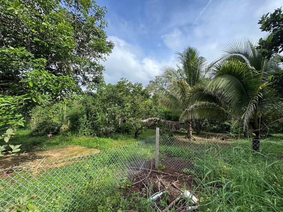 Bán đất mặt tiền Đỗ Xuân Hợp nối dài, 900m², nở hậu, giá 1,35 tỷ