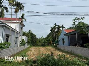 Đất xịn xò Bình Nghĩa, Hà Nam, giá bán 2 tỷ có ngay 467m2 mặt tiền 10.5m