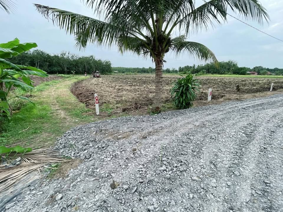 Bán mảnh đất vườn 1000m2 (10m x 100m) tại Suối Dộp, Châu Thành, Tây Ninh, cách Hương Lộ 3 chỉ 500m