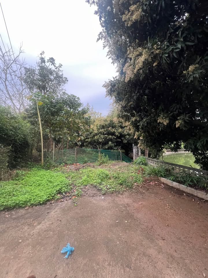 Trang trại 2ha siêu xinh, view triệu đô, sẵn sàng khai thác tại Bản Cầm, Lào Cai, cách chợ Bản Cầm chỉ 1km