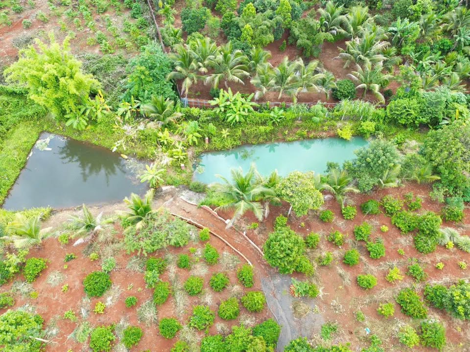 Bán đất tại phường Khánh Xuân, Buôn Ma Thuột, diện tích 7 sào, giá chỉ 4,1 tỷ