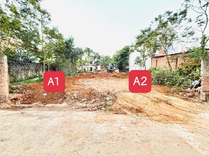 Đất thổ cư Tam Quan - Tam Đảo (cũ) giá yêu thương