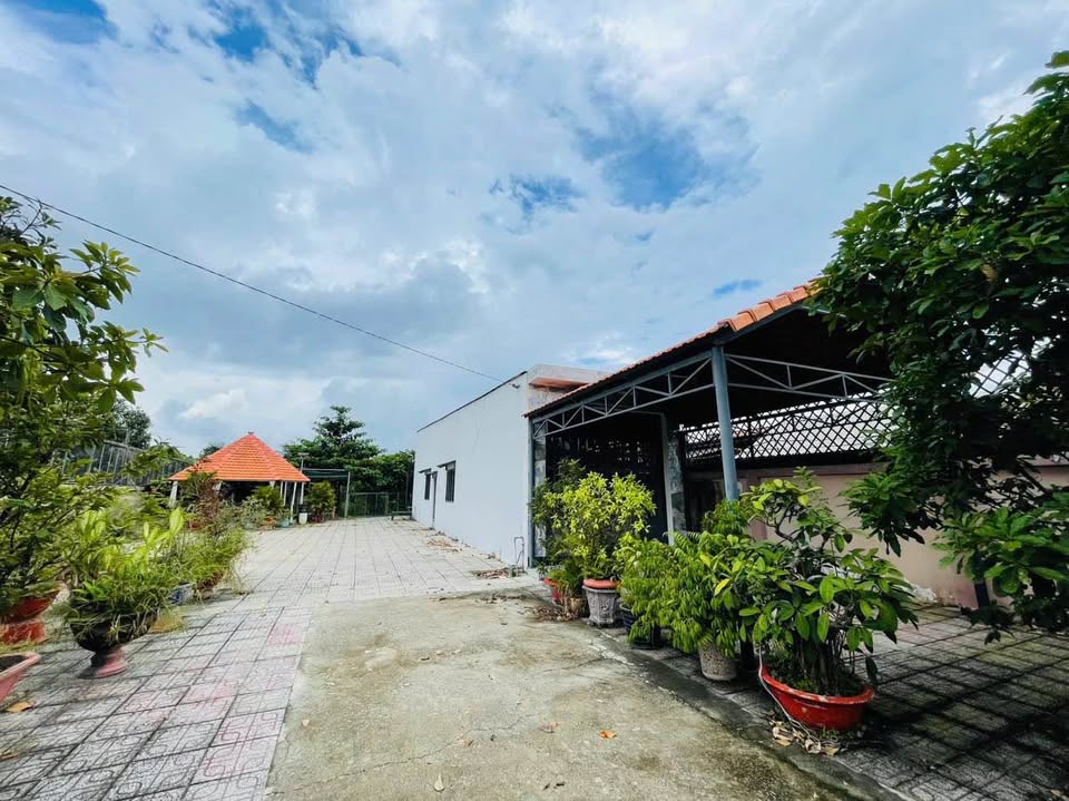 Đất thổ cư 1508m2 nở hậu, sổ hồng riêng tại Củ Chi