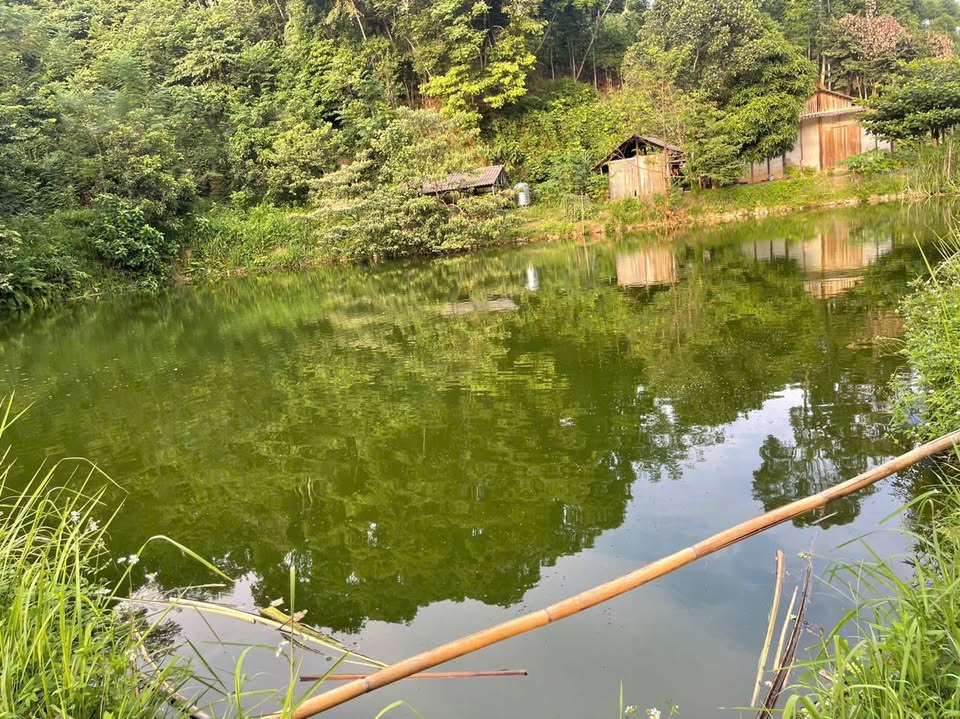 Siêu phẩm đất vườn tại Phong Hải, Lào Cai đang chờ chủ nhân mới