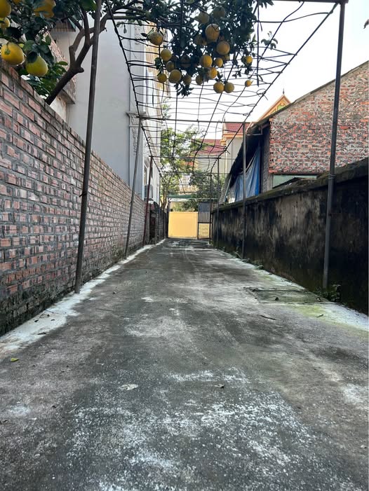 Đất xịn 111m2, mặt tiền 8m, ô tô vi vu ngủ trong nhà, Đan Phượng, Hà Nội