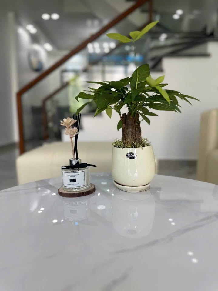 Nhà phố Khúc Hạo - Thiên Lôi 4 tầng mới xây, 43m2, ô tô đỗ cửa, gần Aeon Mall