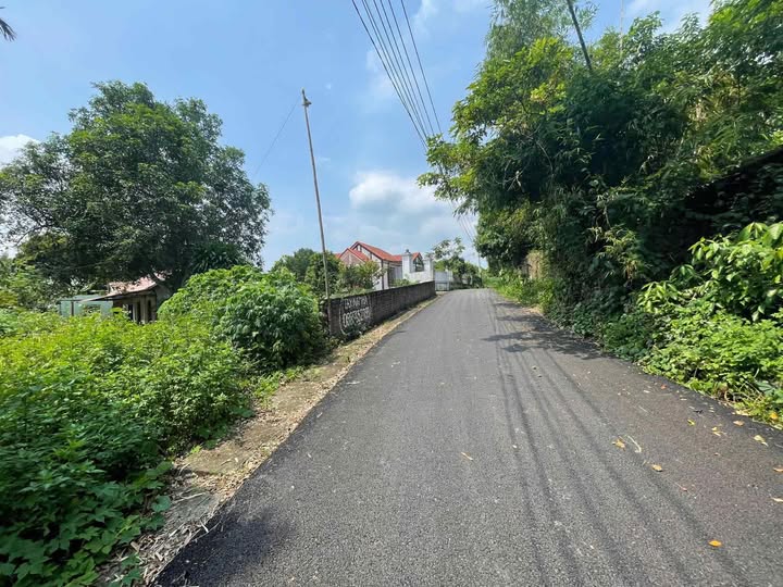 Đất Sông Lô, đường thông tứ phía, trong đó 80m2 là đất thổ cư