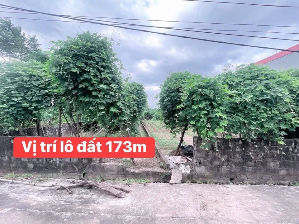 Đất Kim Bảng sổ đỏ 173m2, mặt tiền 6m, giá iu thương chỉ hơn 1,4 tỷ