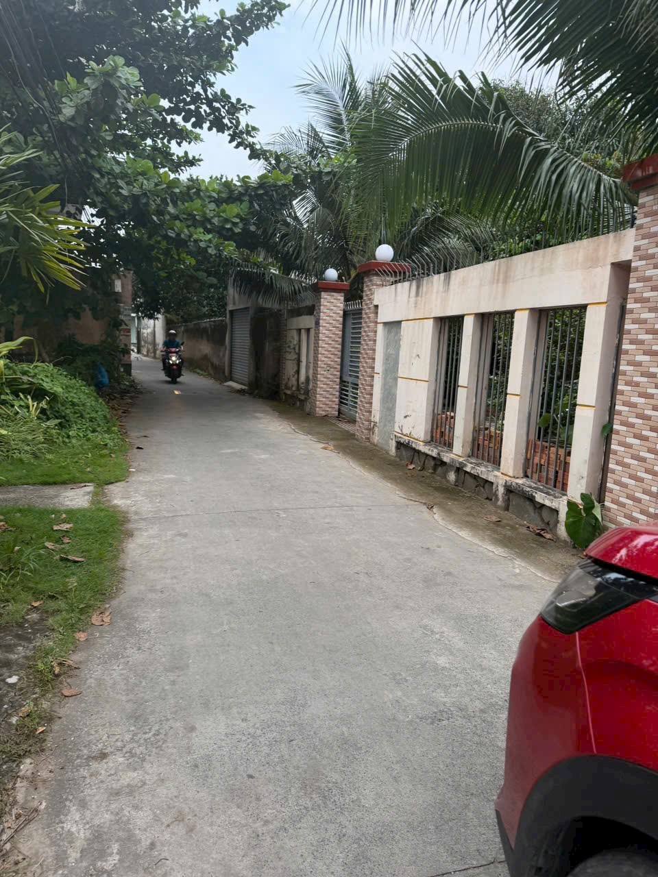 Tìm đâu ra nền đất "vàng" như ở Phú Khương, Bến Tre mà giá lại "hời" thế này