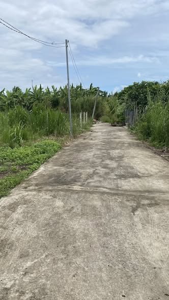 Bán đất nền tại Phú Nhuận, Bến Tre, diện tích 99,9m2, giá chỉ 230 triệu