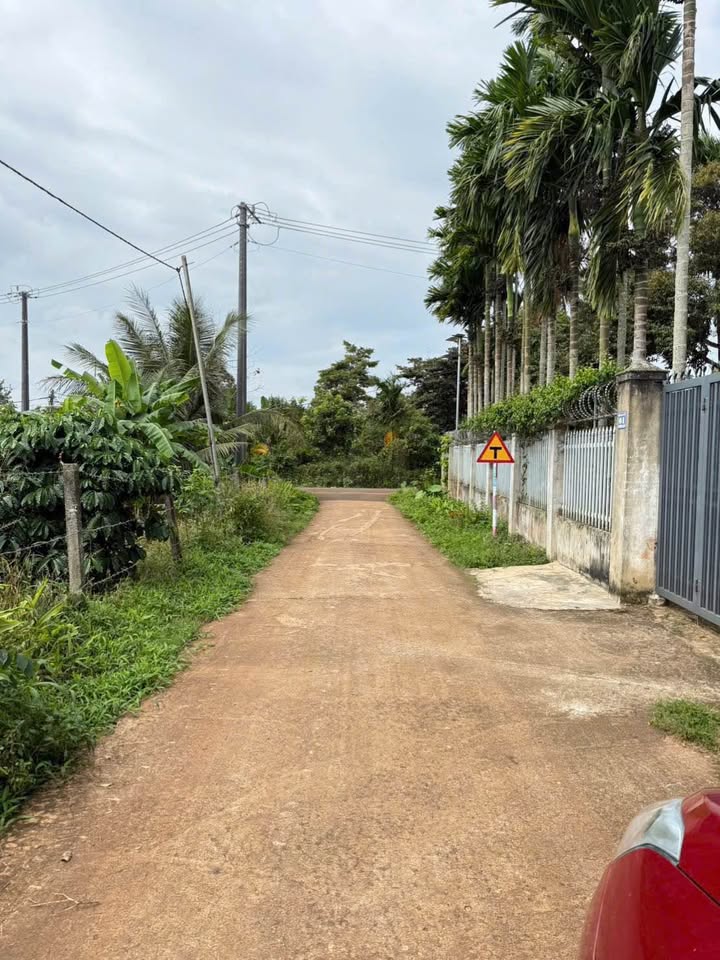 Đất đẹp Nguyễn Xuân Nguyên, an cư lạc nghiệp ngay