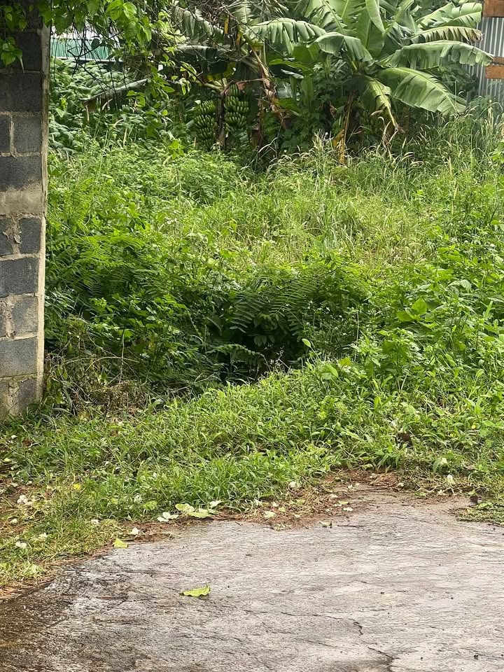 Đất Ea Kao, Đắk Lắk, hướng Bắc, đường ô tô, giá 1,15 tỷ