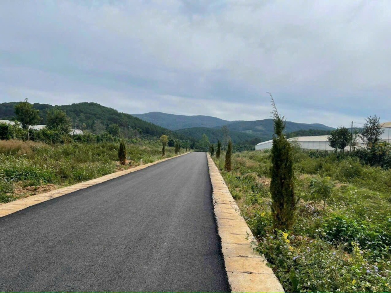 Đất Tà Nung, Đà Lạt 200m² bằng phẳng, ô tô vi vu, tiềm năng sinh lời xịn