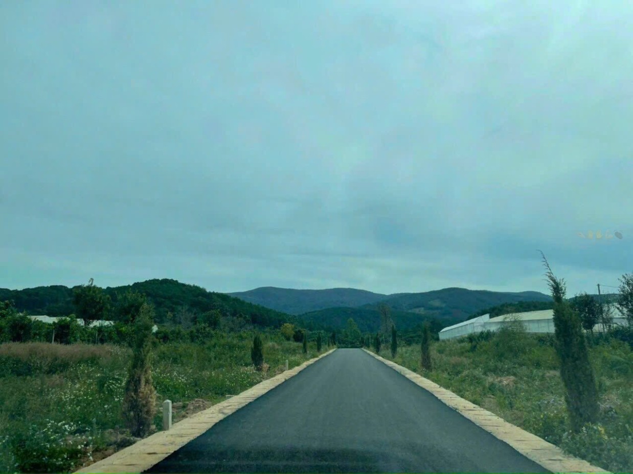 Đất Tà Nung - Đà Lạt, 200m² bằng phẳng, ô tô tới tận nơi, giá thương lượng