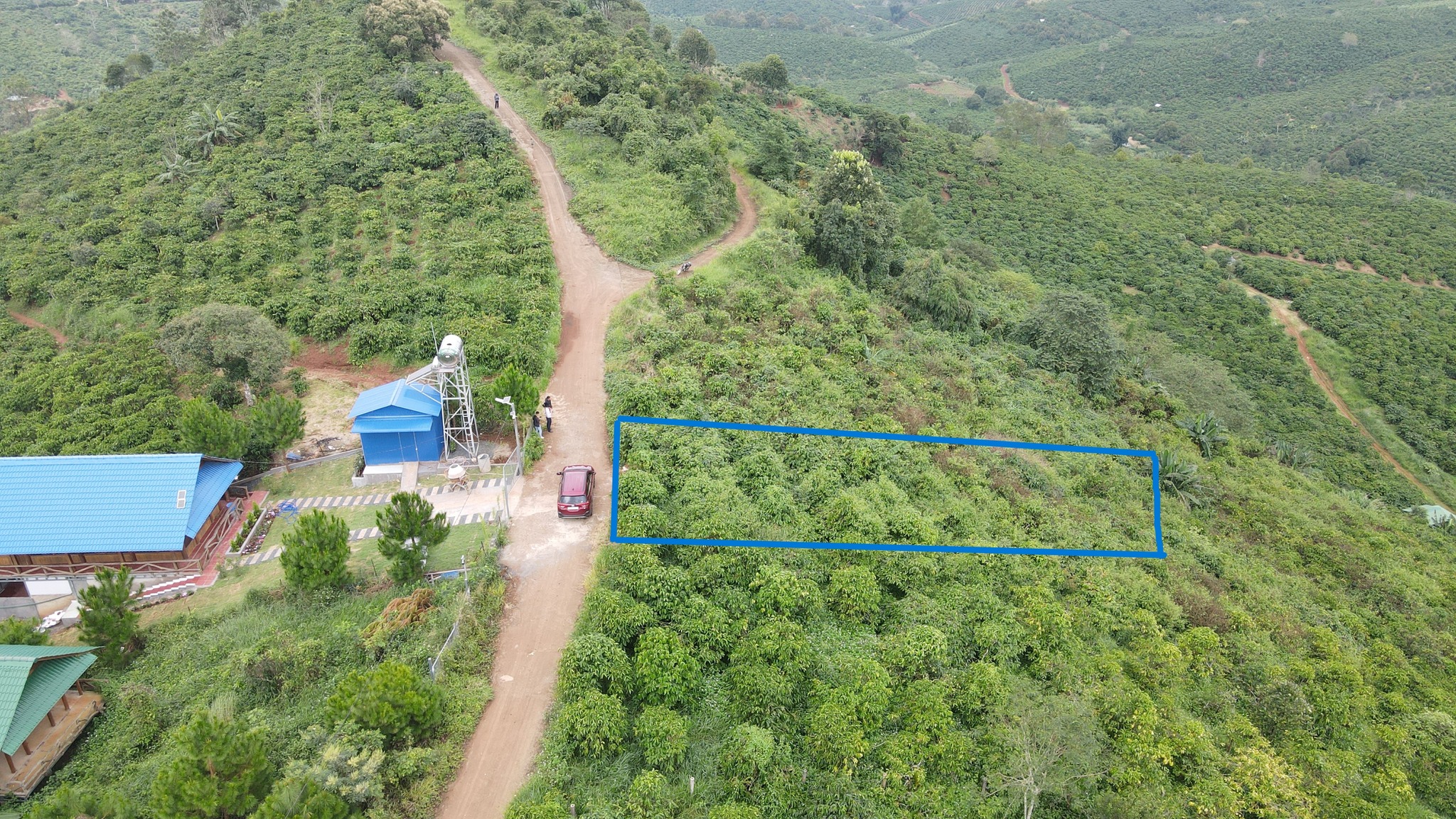 Đất Di Linh view đồi núi săn mây, sổ sẵn sang tên ngay chỉ 350 triệu