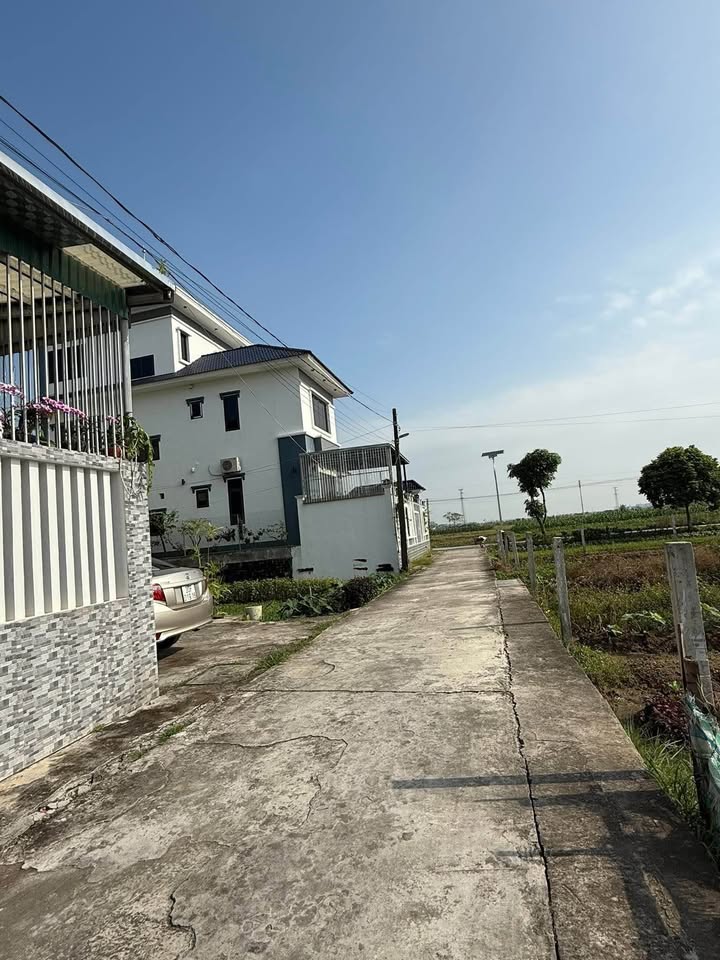 Tuyệt phẩm đất nền tại trung tâm Vũ Thư, Thái Bình đang chờ bạn