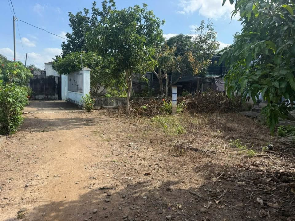 Đất vàng Diên Khánh 375m2 vuông vức, sổ đỏ sẵn sàng, giá hời