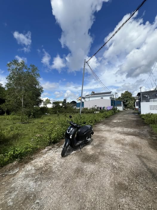 Chính chủ kẹt tiền cần bán gấp nền đất 200m² tại khu vực Cây Thông Trong