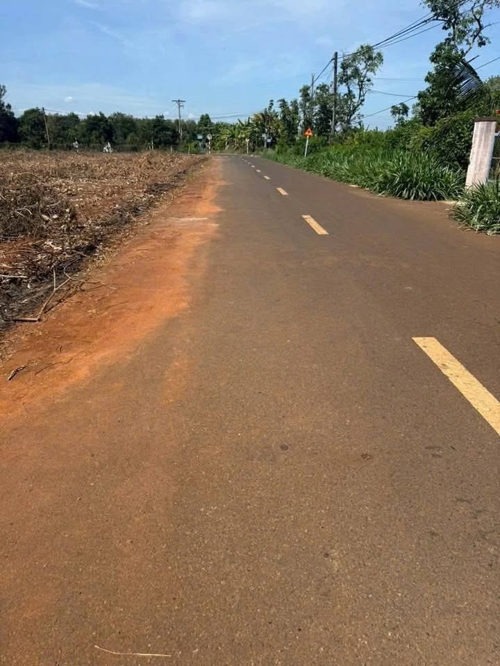 Bán đất Long Phước 1100m² mặt tiền đường nhựa, giá hời 2,99 tỷ