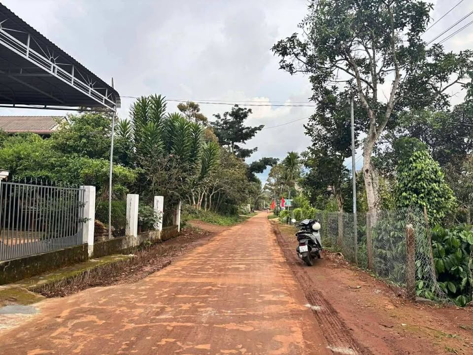 Chào mừng quý nhà đầu tư đến với cơ hội sở hữu mảnh đất đắc địa tại Đức Mạnh, Đắk Nông