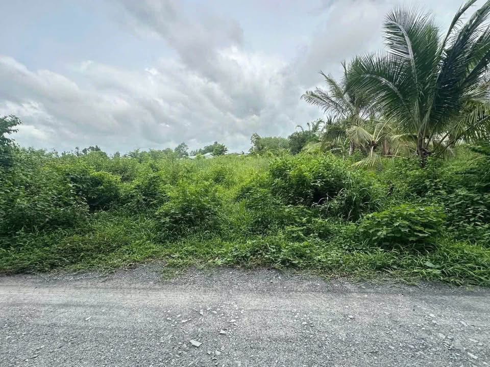 Bán đất tại Phước Thạnh, Gò Dầu, diện tích 8x63m, 700 triệu - Cơ hội đầu tư sinh lời cực đỉnh