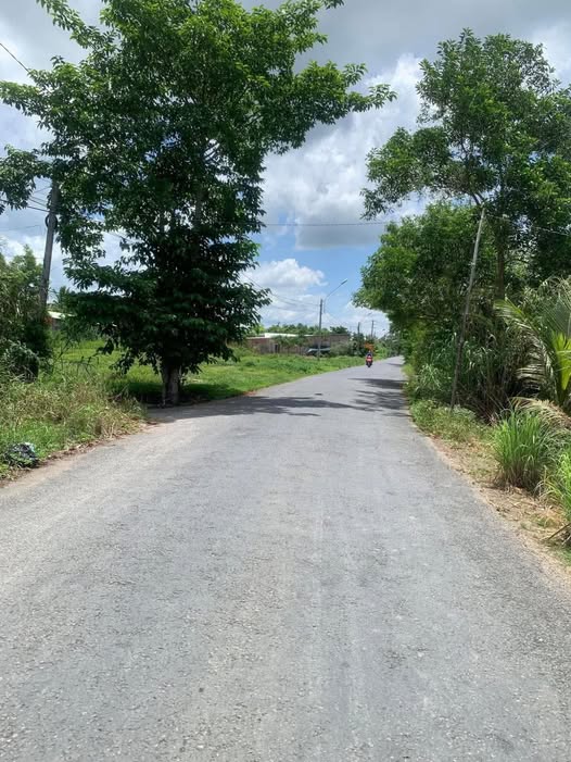 Siêu phẩm đất mặt tiền đường Kênh Thị Đội, Phường 8 cũ, chỉ cách Phạm Hùng 300m