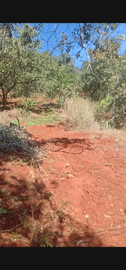 Miếng đất xưa, 3.4ha tại Tân Lợi, Đồng Phú - Bình Phước