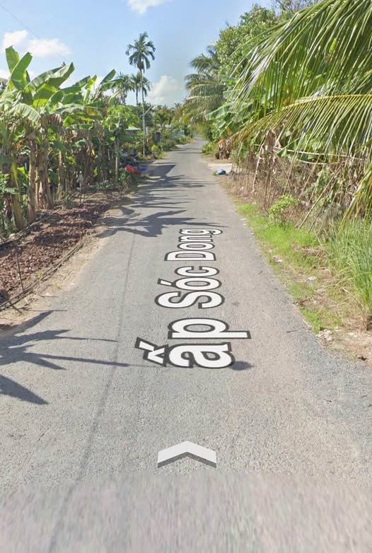 Đất Sóc Trăng 230 củ khoai, nở hậu 8m, sổ hồng sẵn sàng, mua nhanh kẻo hết