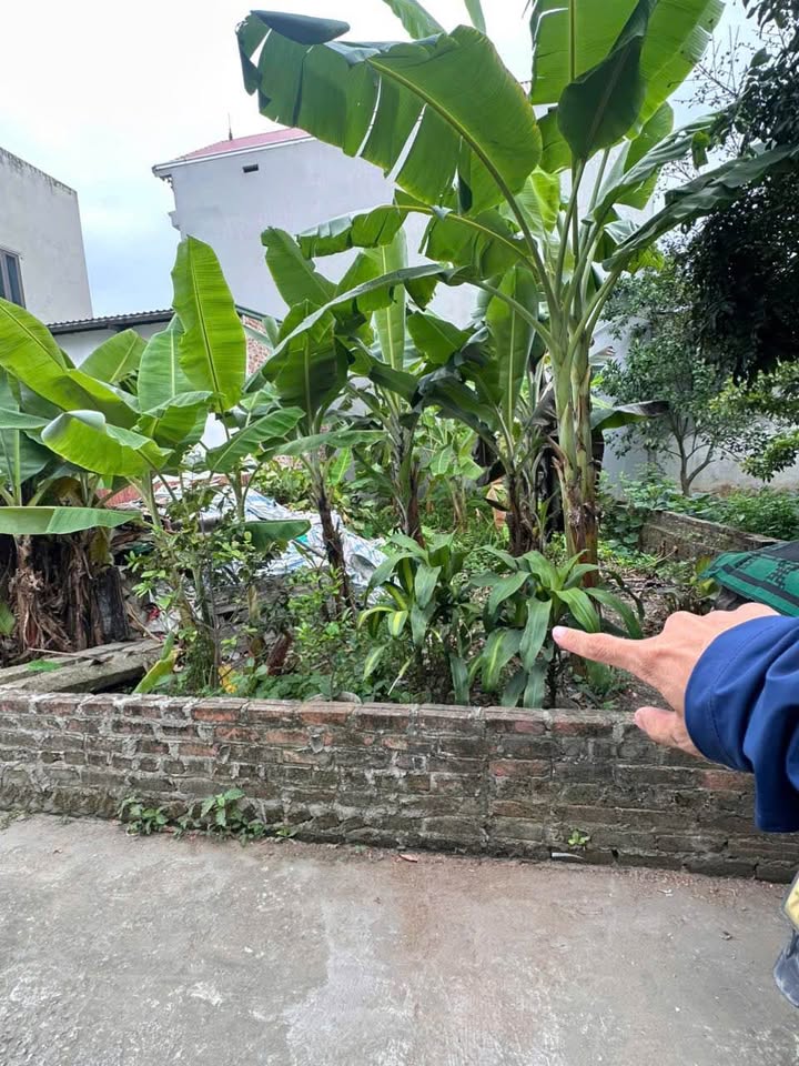 Đất Sóc Sơn, công nhân cần tiền bán gấp, ngõ rộng ô tô vào tận nơi