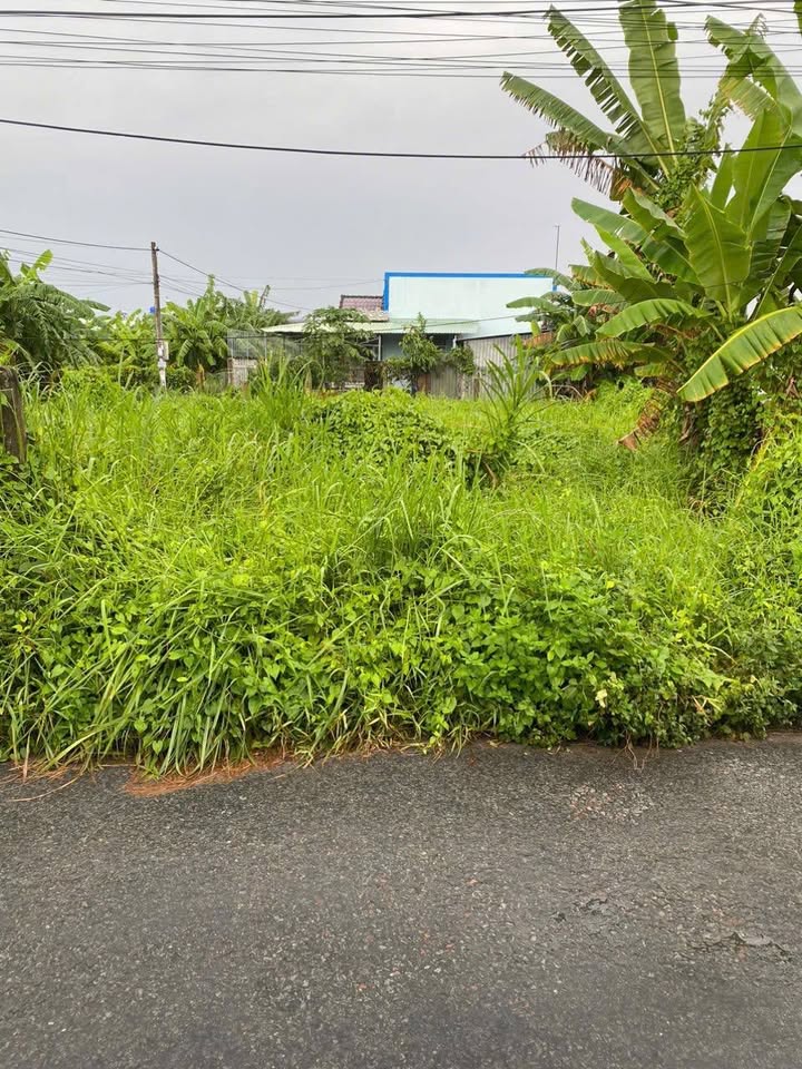 Mở bán nền mặt tiền lộ nhựa, kinh doanh siêu đỉnh, giá chỉ 1,23 tỷ