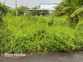 Mở bán nền mặt tiền lộ nhựa, kinh doanh siêu đỉnh, giá chỉ 1,23 tỷ