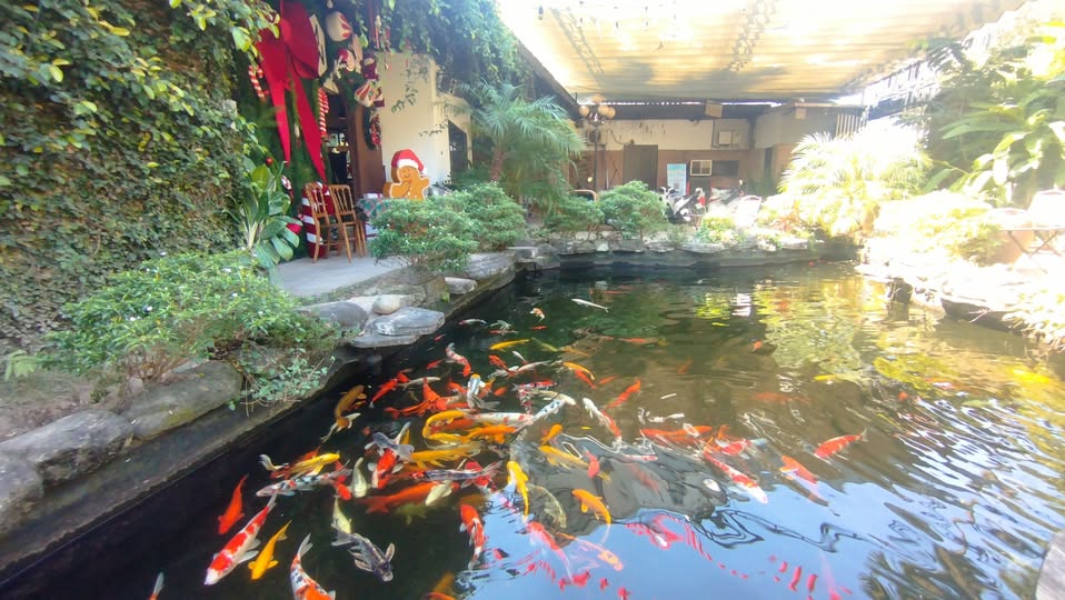 Bán đất thổ cư 210m2 mặt tiền 13m tại Đại Yên, Chương Mỹ - Cơ hội đầu tư hấp dẫn