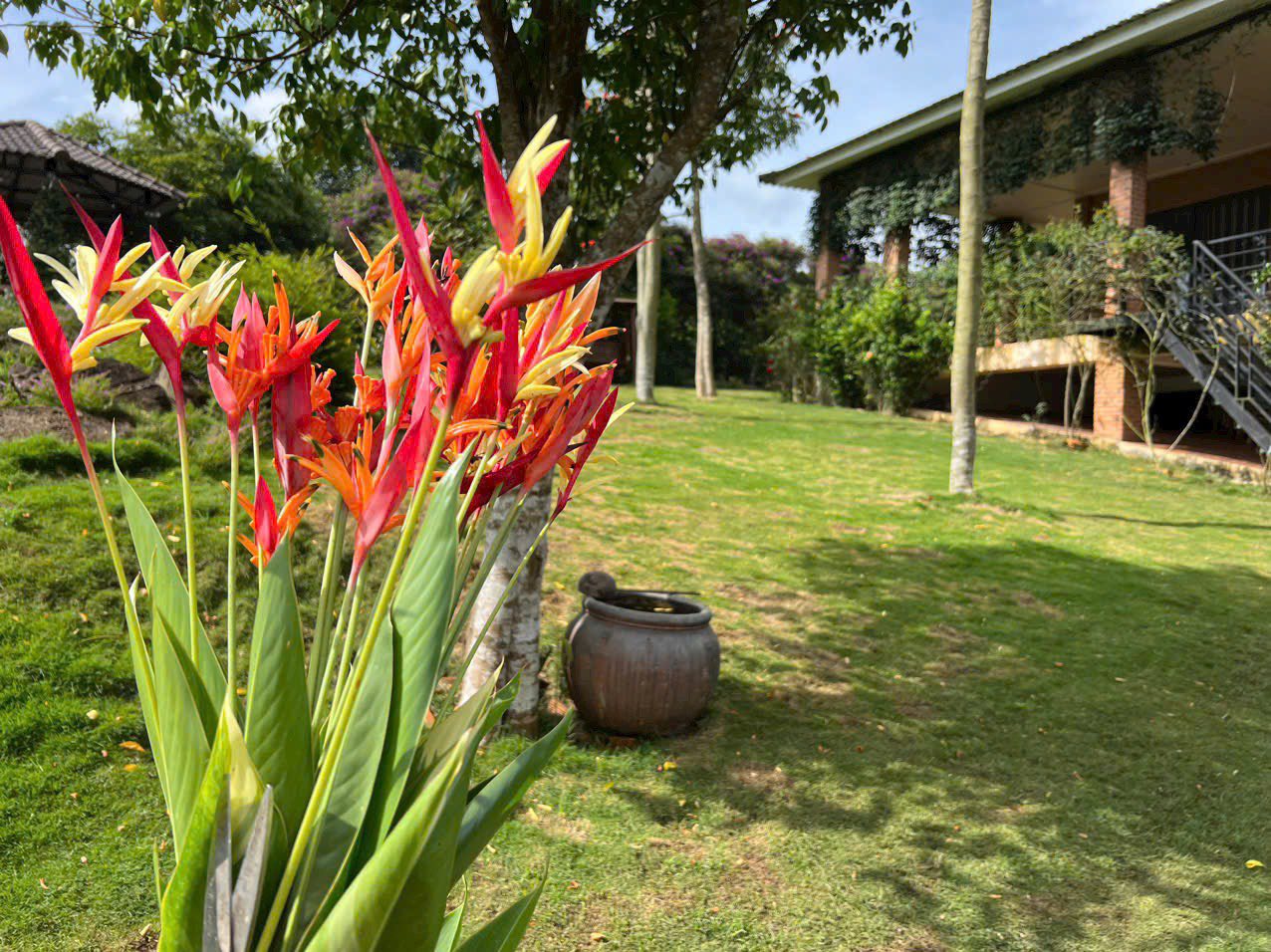 Nhà vườn 2 mặt tiền, diện tích 6300m2 tại Đinh Trang Hòa, Di Linh, Lâm Đồng