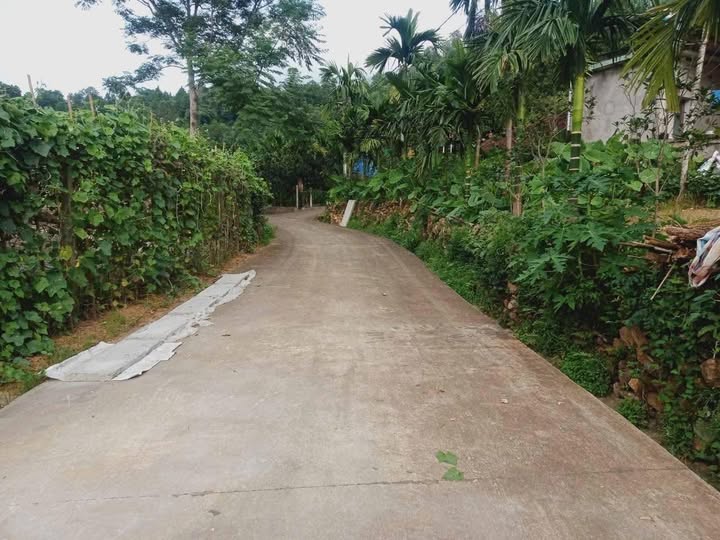 Đất Ba Vì, view triệu đô, giá trăm triệu, ô tô vi vu tận nơi