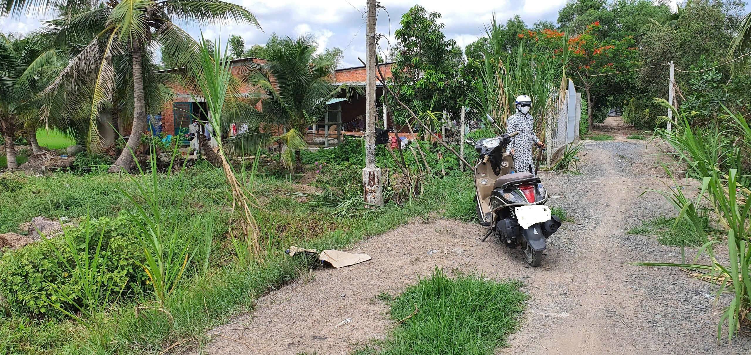 Cần bán gấp lô đất thổ cư có sổ hồng riêng tại ấp 1B, xã Hữu Thạnh, huyện Đức Hòa, tỉnh Long An