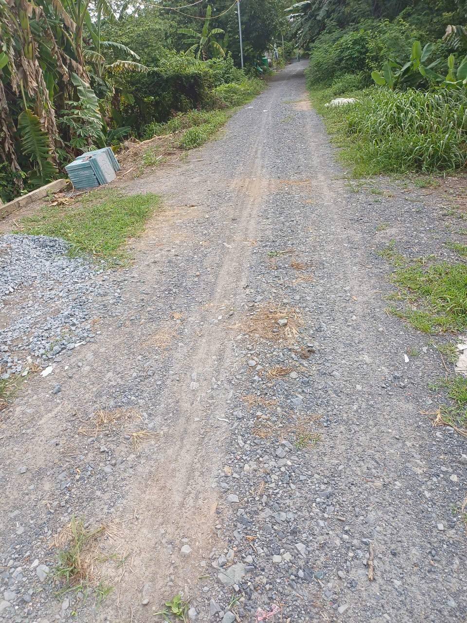 Đất Vàm Cỏ Tây 6m x 38m, 750 củ, câu cá, trồng cây, xe hơi vi vu