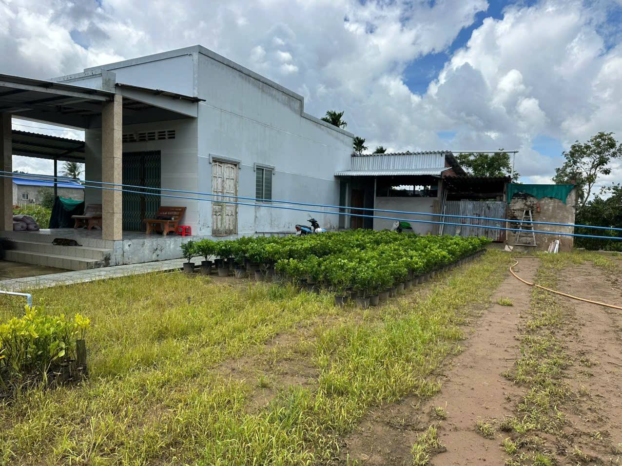 Mảnh đất An Lành, 735m2 tại Phú Sơn, Chợ Lách, Bến Tre