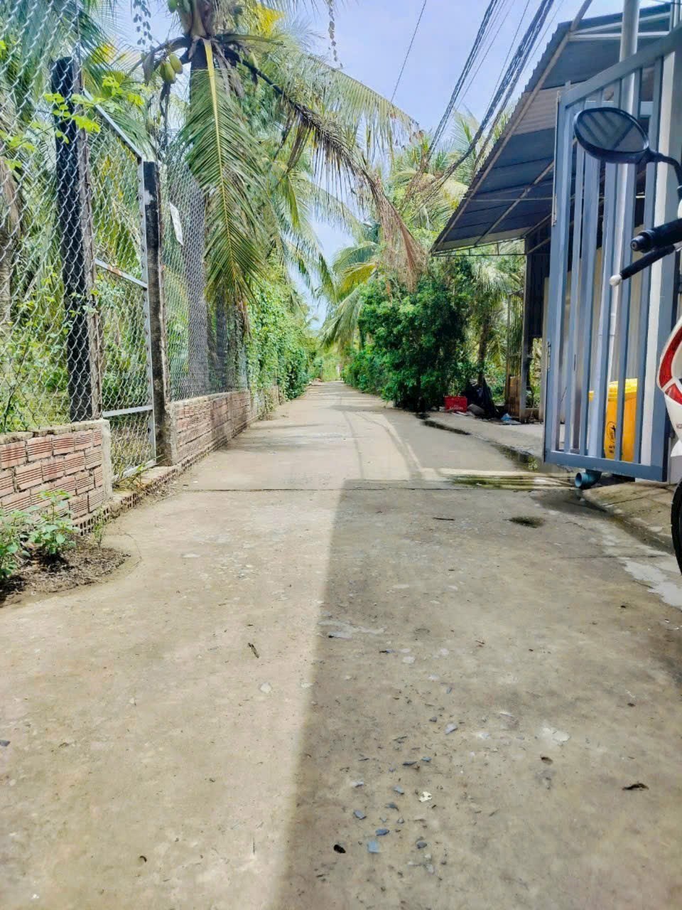 Nhà Phú Hưng, Bến Tre - 174m², 50m² thổ cư, 5m ngang, giá 1,5 tỷ