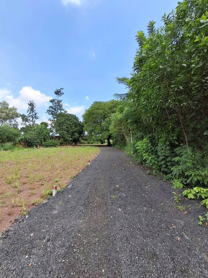 Cơ hội vàng sở hữu ngay 2 lô đất nền tuyệt đẹp tại thị trấn Đất Đỏ, Bà Rịa - Vũng Tàu