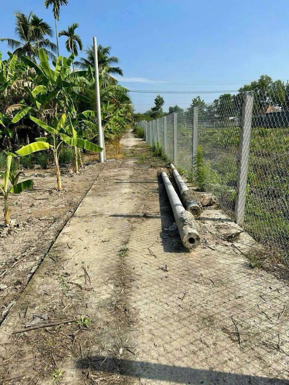 Đất Bến Tre 1000m2, 900 triệu - Cơ hội vàng cho nhà đầu tư