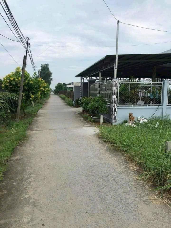 Đất Long An, giá 790 triệu, diện tích 5x25m, ô tô tới tận nơi, gần chợ, gần trường