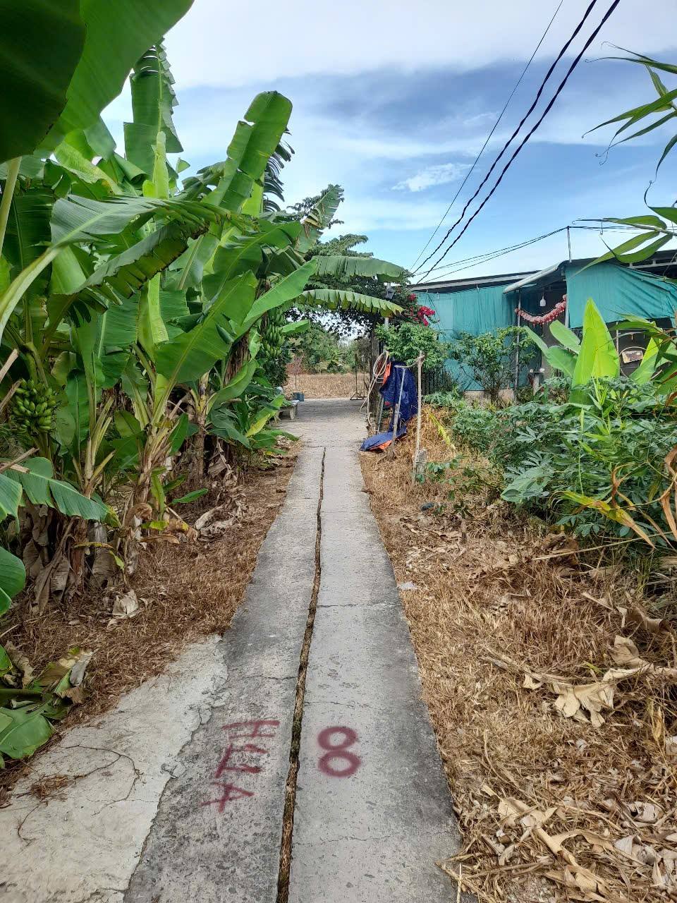 Đất Long An, 139m² thổ cư, chỉ 350 triệu - Cơ hội đầu tư sinh lời