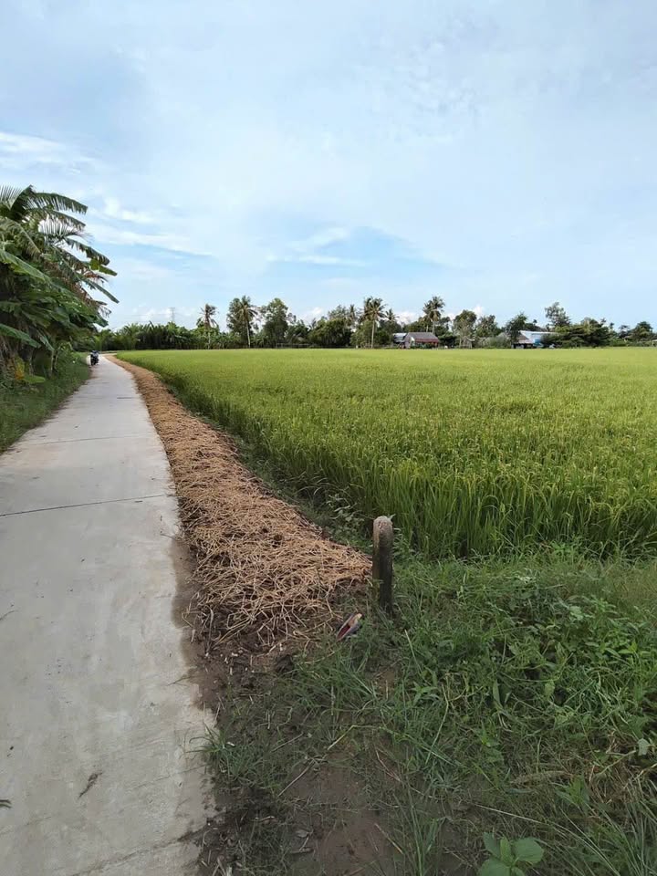 Siêu phẩm đất đẹp tại Sóc Trăng, sổ hồng sẵn sàng, chỉ chờ bạn đến rước