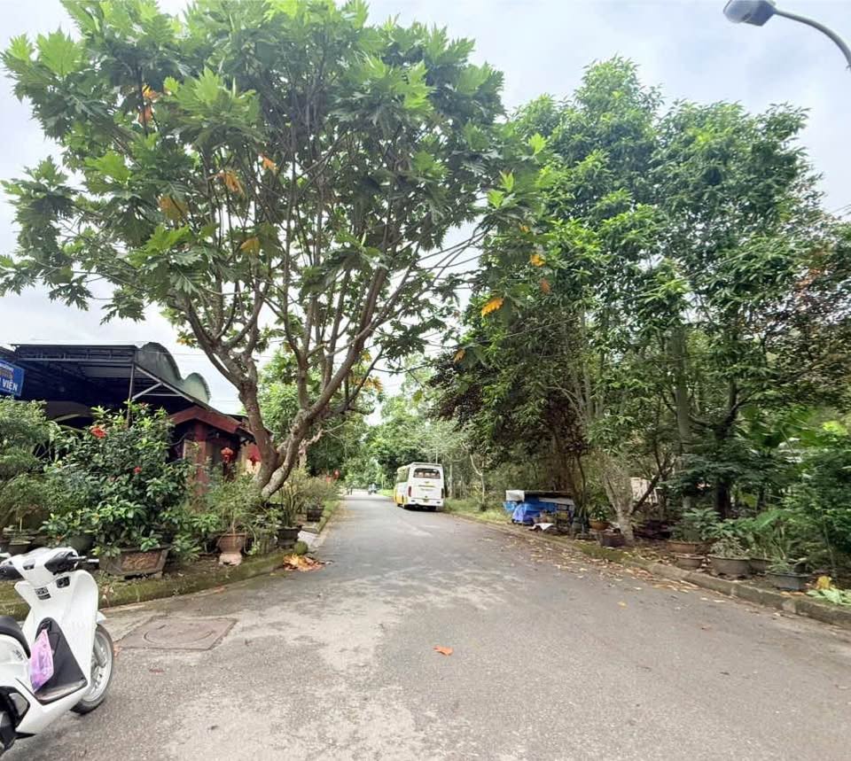 Đất vàng mặt tiền Bùi Viện, Thủy Xuân, rộng rãi, thoáng đãng, xây biệt thự là hết ý